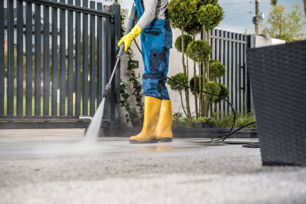 Best Best Pressure Washing Companies  in Waverly, MI