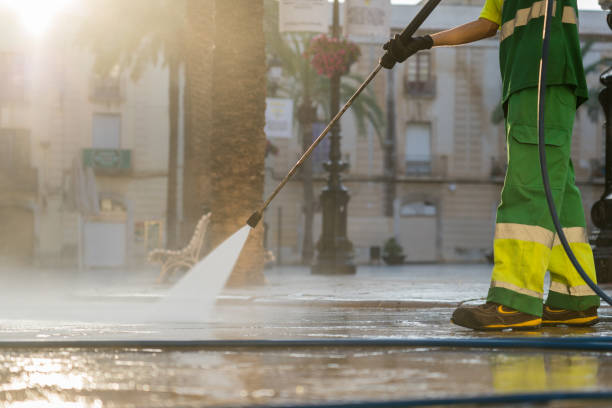 Best Pressure Washing Siding  in Waverly, MI