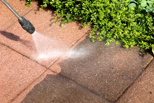 Best Roof Pressure Washing  in Waverly, MI