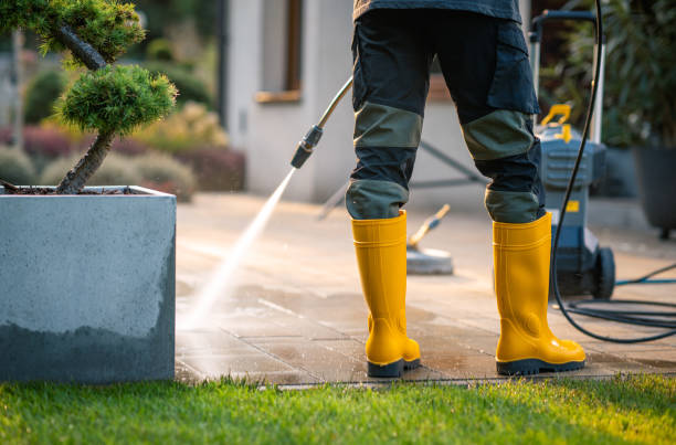 Best House Pressure Washing  in Waverly, MI